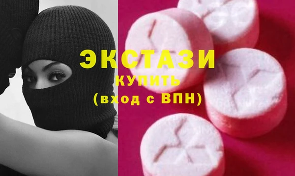 хмурый Гусь-Хрустальный