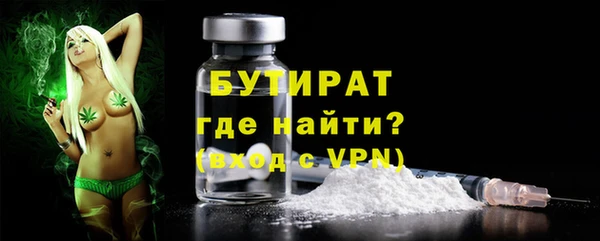 хмурый Гусь-Хрустальный