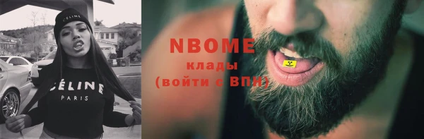 хмурый Гусь-Хрустальный
