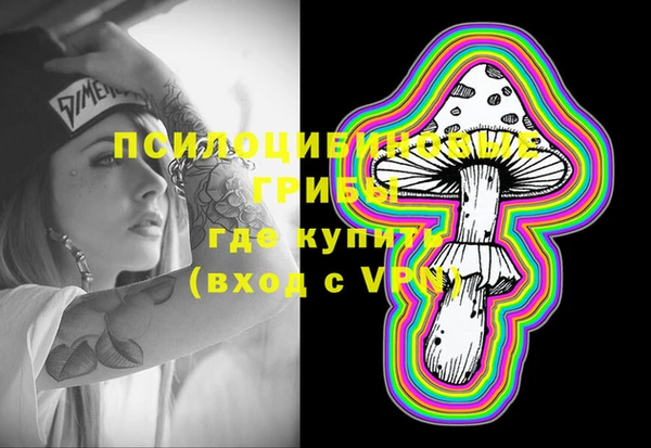 хмурый Гусь-Хрустальный