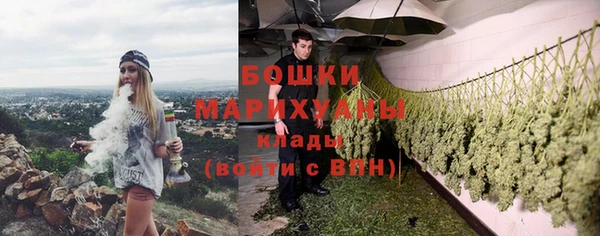 хмурый Гусь-Хрустальный