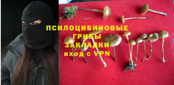 кокаин премиум Гусев