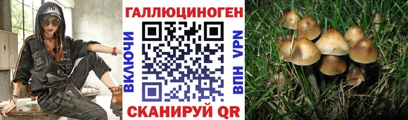 Псилоцибиновые грибы Psilocybe  Купить  Красноуральск 